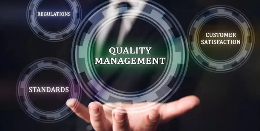 ISO 9001 QMS Quality Management System Lead Implementer"