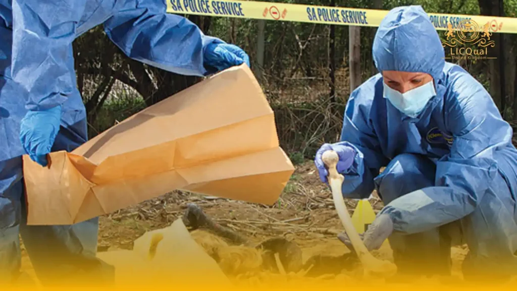 LICQual Award in Accident Scene Preservation and Evidence Collection
