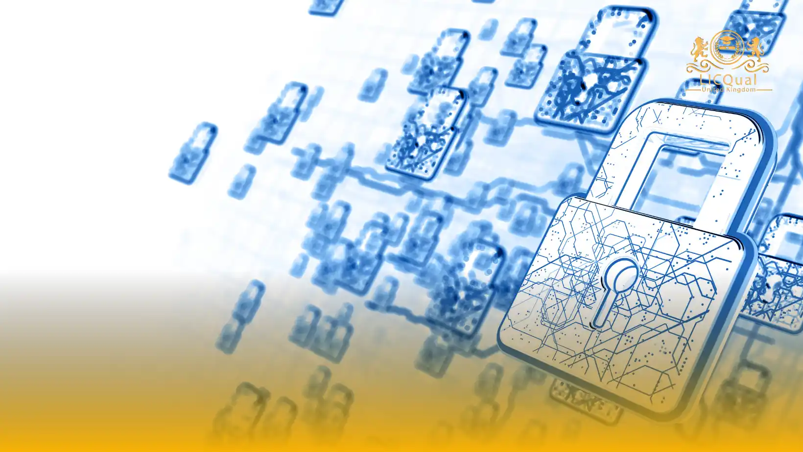 LICQual Level 2 Award in Certified Social Media (Network) Cyber Security & Analysis