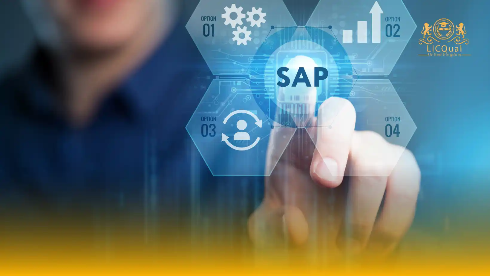 LICQual Level 2 Award in Fundamentals of SAP Material Management (MM)