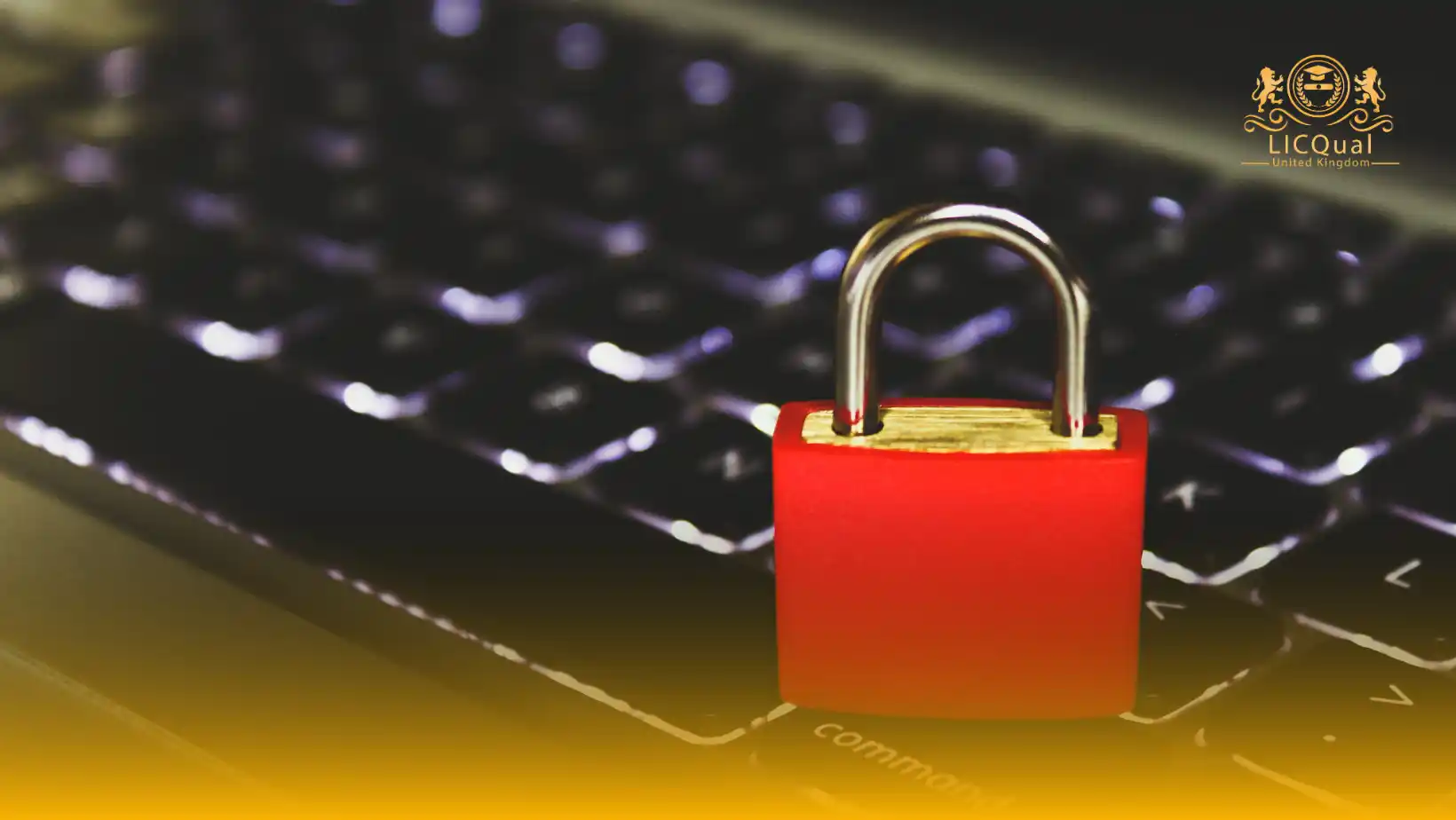 LICQual Level 3 Certificate in Certified Social Media (Network) Cyber Security & Analysis