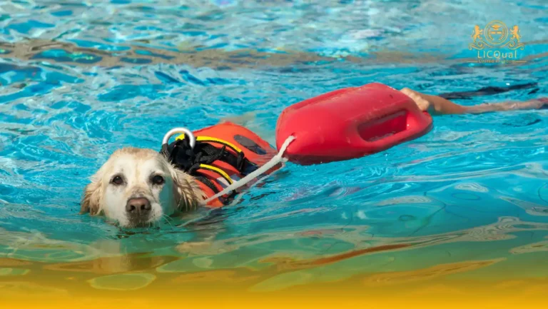 LICQual Level 3 Award in International Lifeguard Qualification