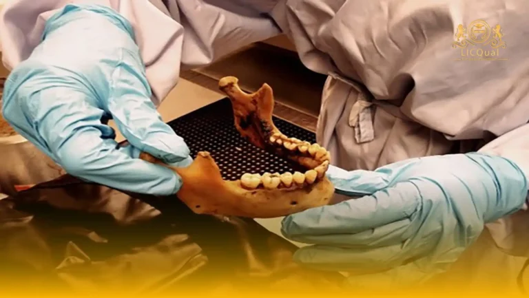 LICQual Level 6 Diploma in Forensic Odontology (Dip Forensic Odontology) 