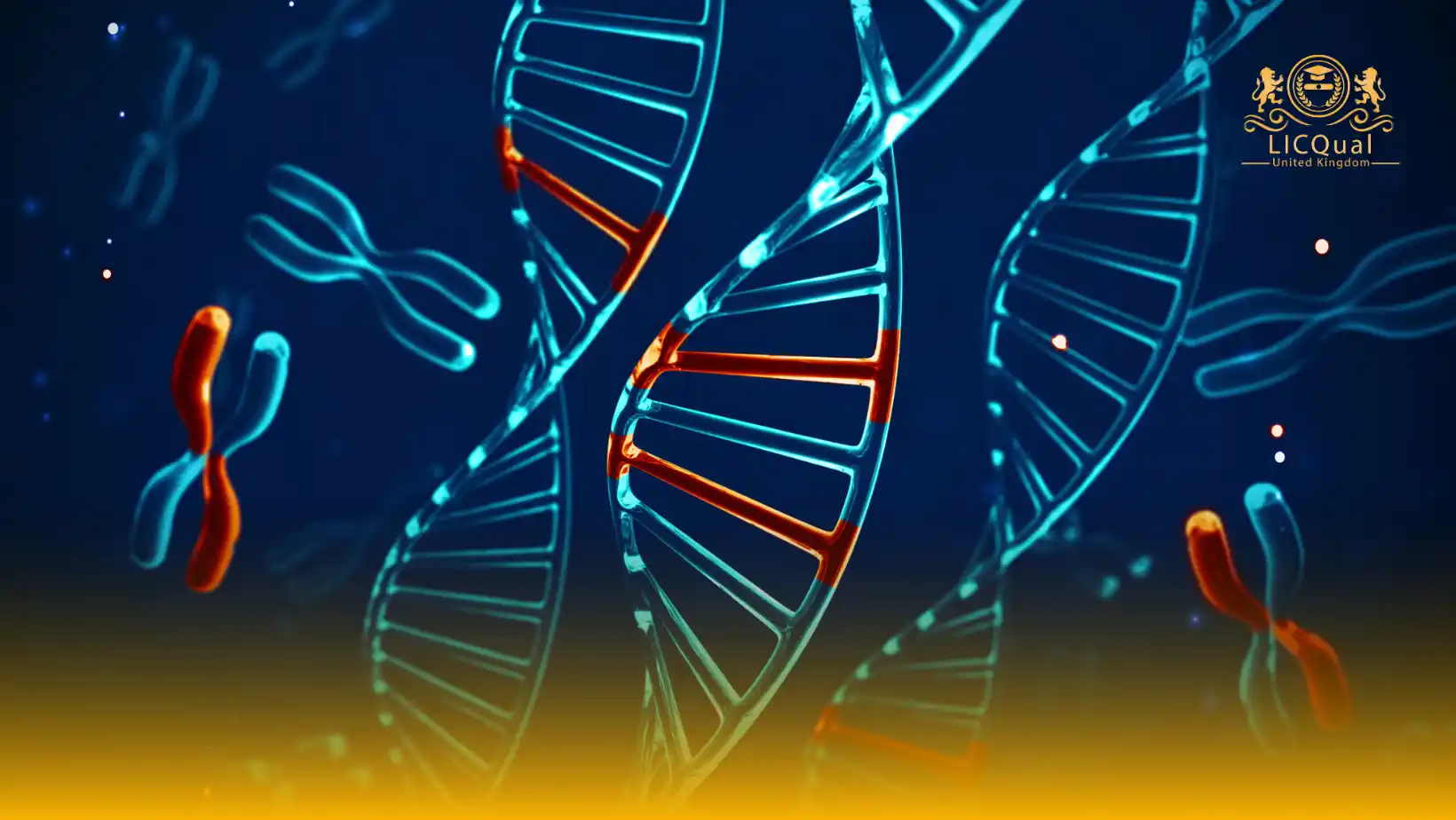 LICQual Level 3 Diploma in Nutritional Genomics (Dip Nutritional Genomics) 