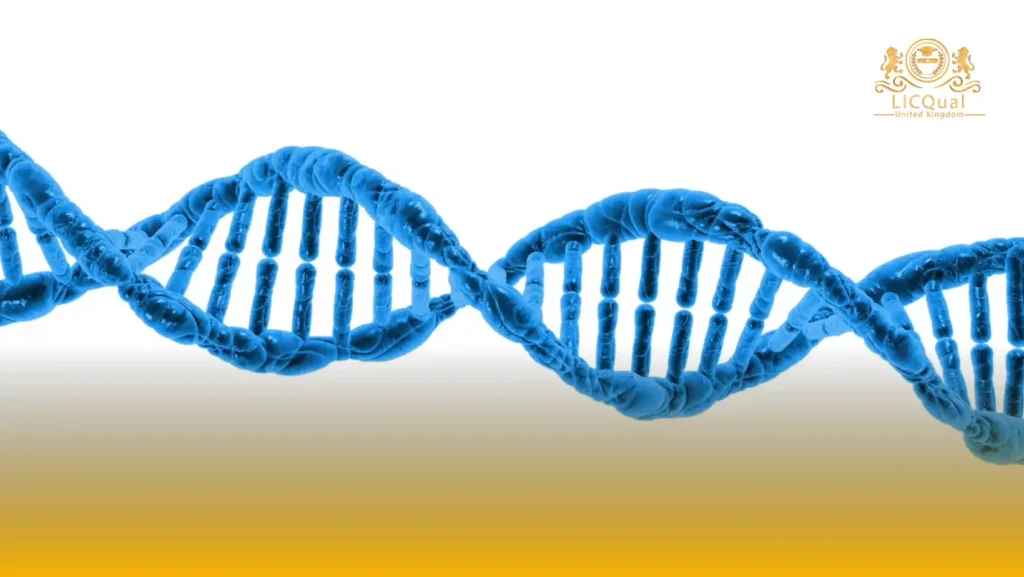 LICQual Level 3 Diploma in Nutritional Sciences (Dip Nutritional Sciences)