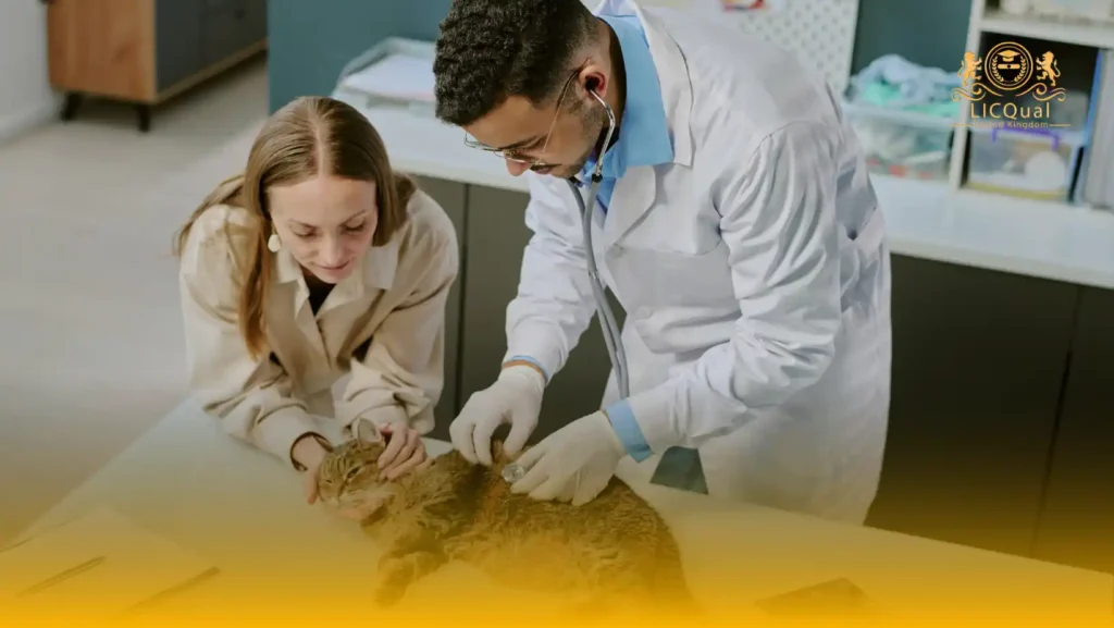 LICQual Level 3 Diploma in Veterinary Pharmacy (Dip Veterinary Pharmacy) 