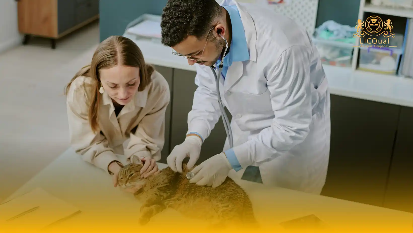 LICQual Level 3 Diploma in Veterinary Pharmacy (Dip Veterinary Pharmacy) 