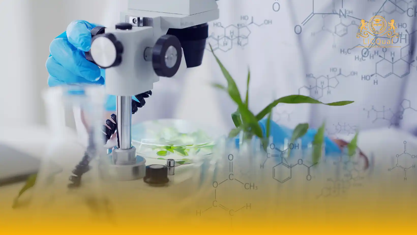 LICQual Level 6 Diploma in Nutritional Sciences (Dip Nutritional Sciences)