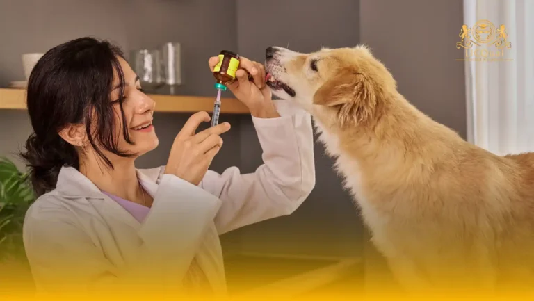 LICQual Level 6 Diploma in Veterinary Pharmacy (D Veterinary Pharmacy) 